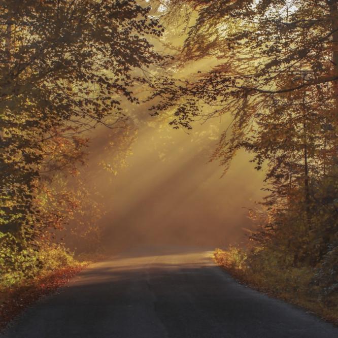 Get Your Vehicle Autumn Ready