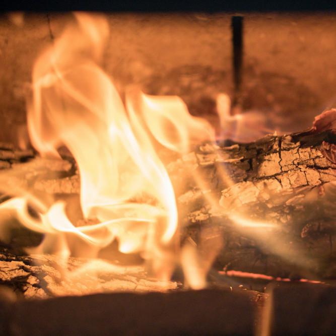 Wood Burning: Woods to Avoid