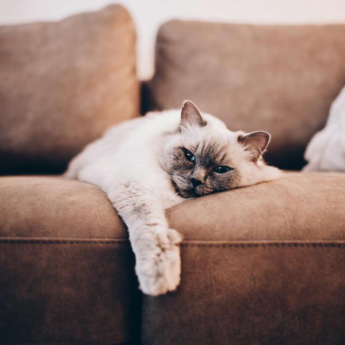 Ground Source Heat Pumps