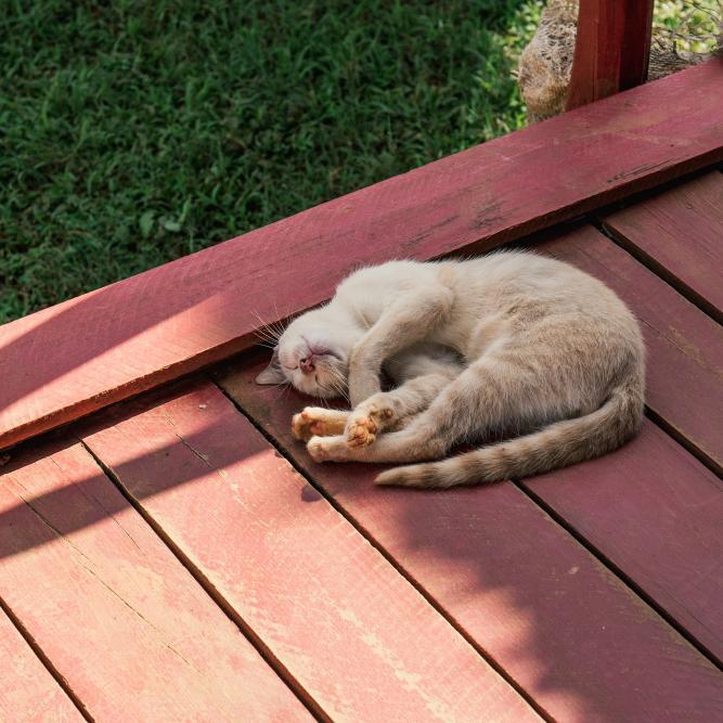 Focus On: Decking - Part One - Decking Materials