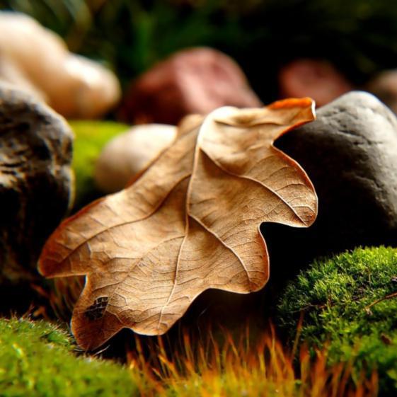 Your Guide To: Composting