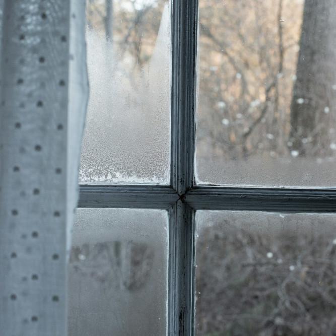 Condensation Advice