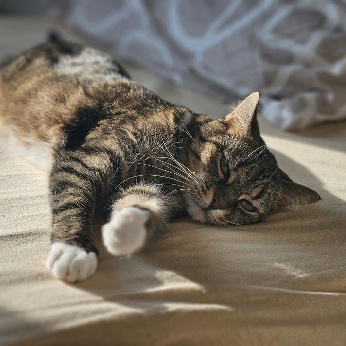 Top Tips for Keeping Your Home Warm This Winter