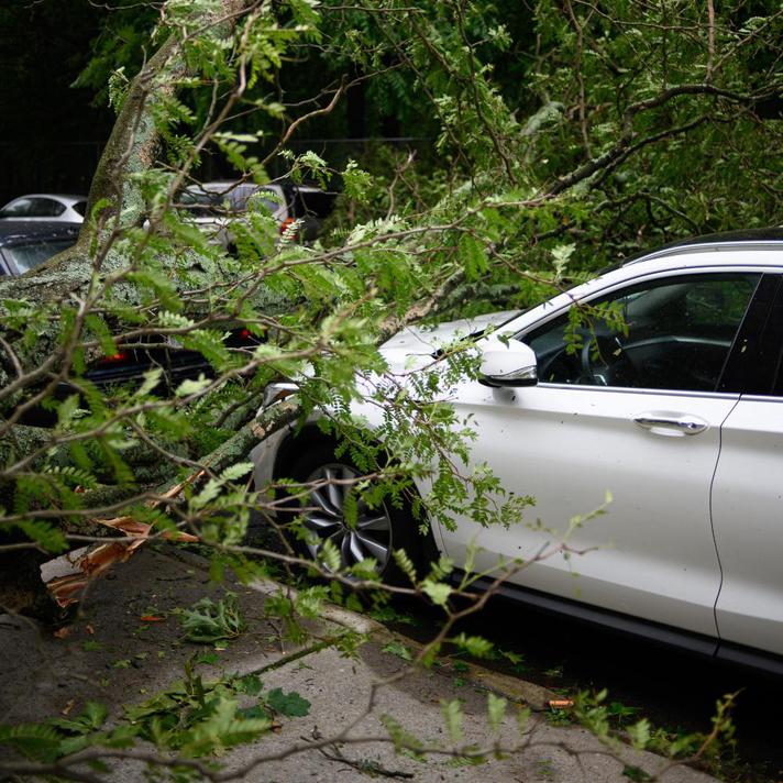 Stormy Times: Information for Vehicle Owners