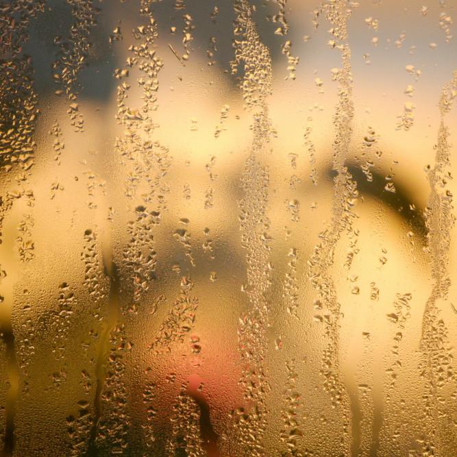 Dehumidifier Basics Part One: FAQs