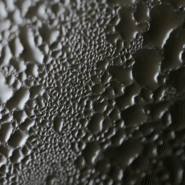 Damp Patch in the Ceiling: Causes and Fixes, and When to Call a Professional