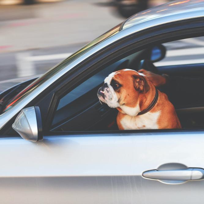 The Top Five: Driving Laws That You Didn’t Know You Were Breaking