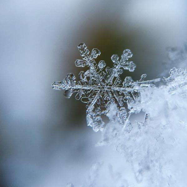 Frozen Pipe Prevention