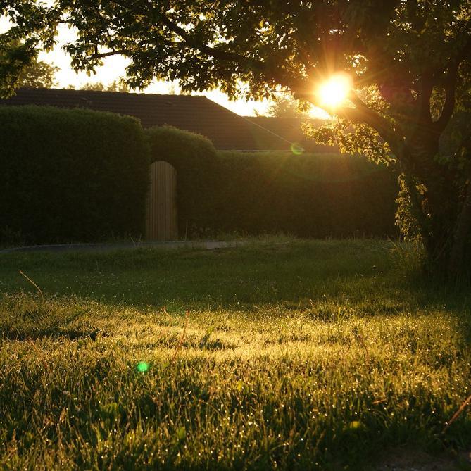 Gardening Tasks to do in March