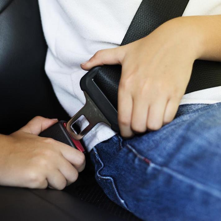 The Law: Seat Belts and Children