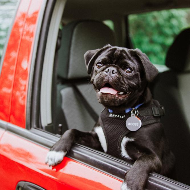 On The Road: Insurance Tips For Young Drivers